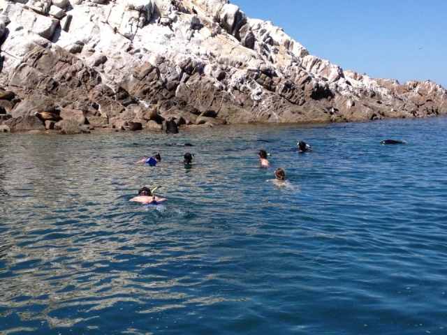 Nadando con amiguitos